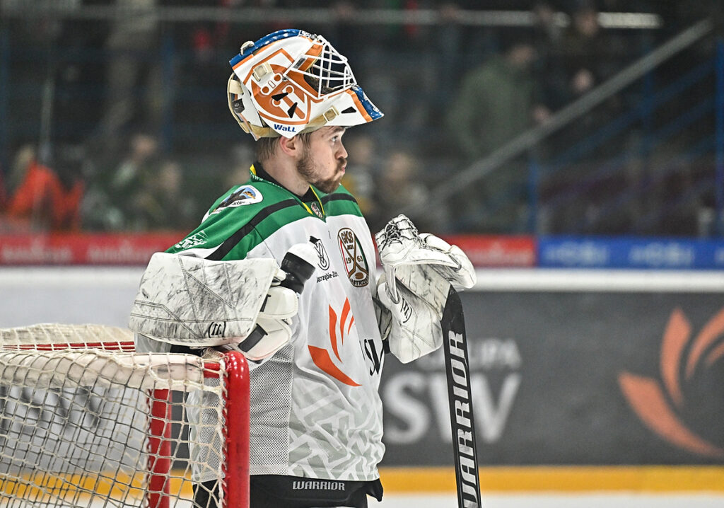 JKH Jastrzębie kompletuje skład